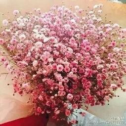 扒叔爆料满天星视频下载,满天星视频下载攻略大揭秘